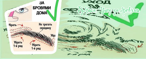 Уход за бровями для роста бровей